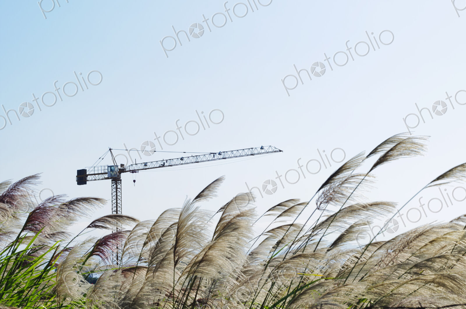 Building on wasteland or disused site, and wild grasses being blown in the wind