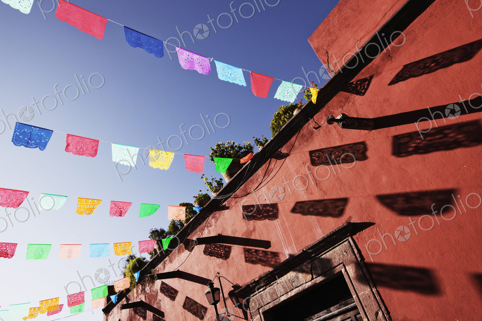 Building with Flags