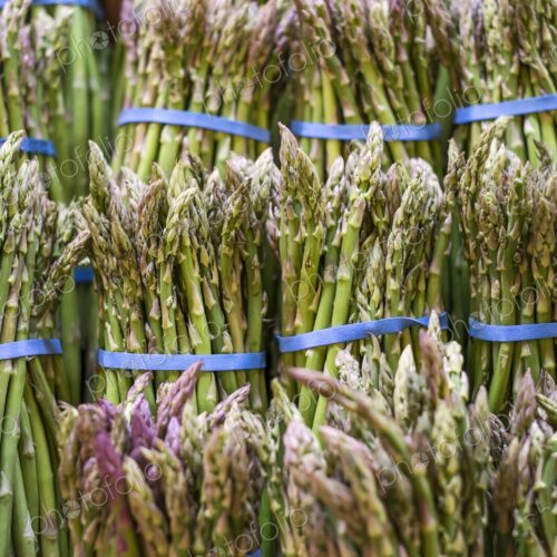 Bundles of fresh green asparagus tied with blue bands, displayed for sale at a farmers… Bundles of fresh green asparagus tied with blue bands, displayed for sale at a farmers…
