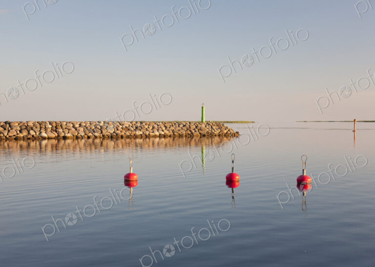 Buoys in a Marina