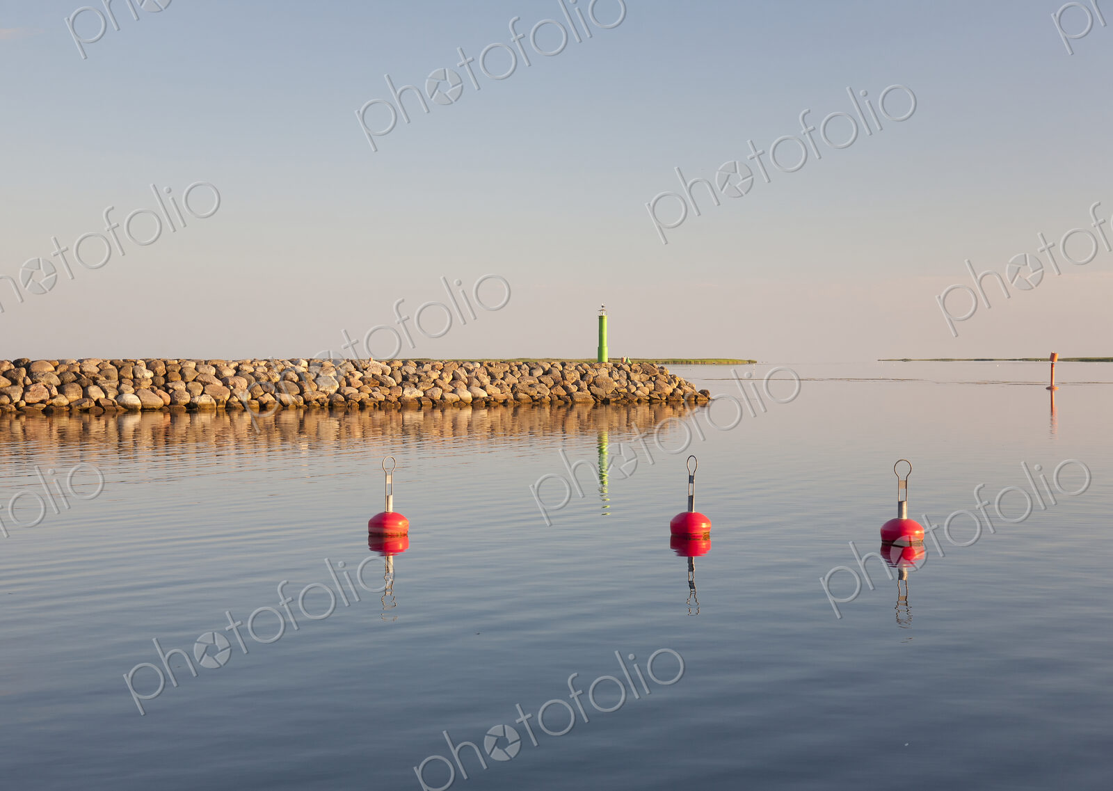 Buoys in a Marina