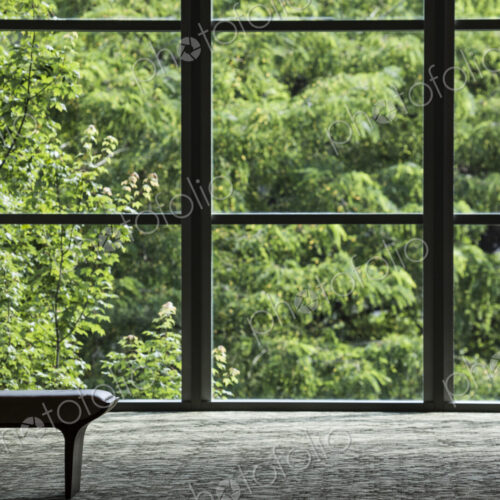 Business center lobby window and tree.