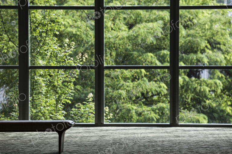 Business center lobby window and tree.