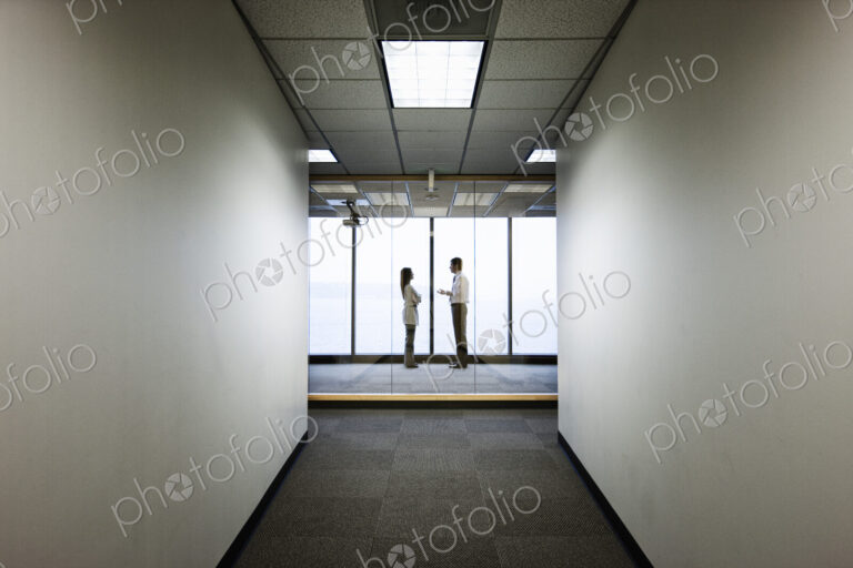 Business people talkng and standing in front of a window, distant view