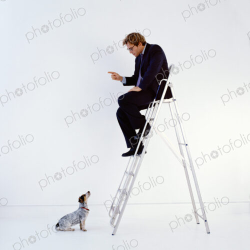 Businessman wearing dark suit sitting indoors on top of a ladder, teaching dog sitting…