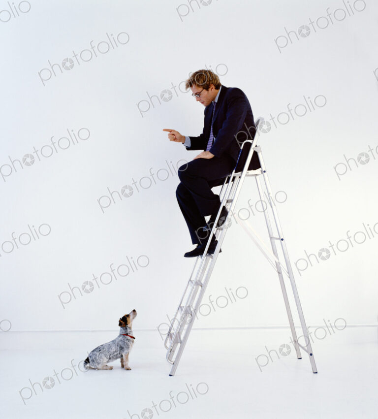 Businessman wearing dark suit sitting indoors on top of a ladder, teaching dog sitting…