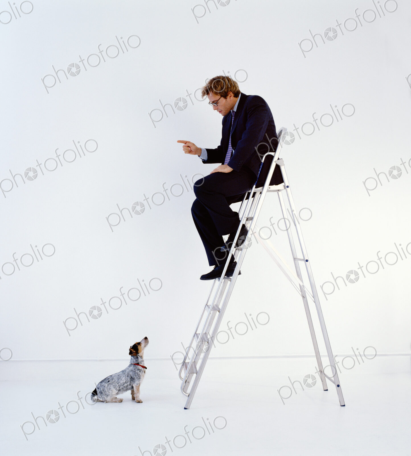 Businessman wearing dark suit sitting indoors on top of a ladder, teaching dog sitting…