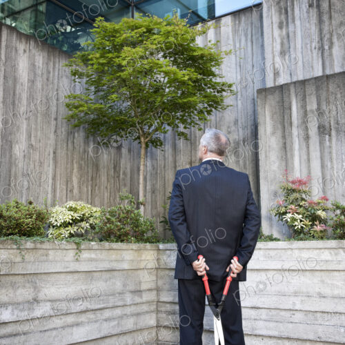 Businessman with landscape sissor pruner.