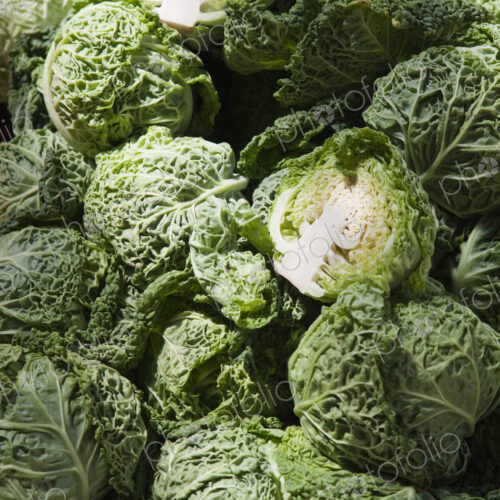 Cabbage Cabbage