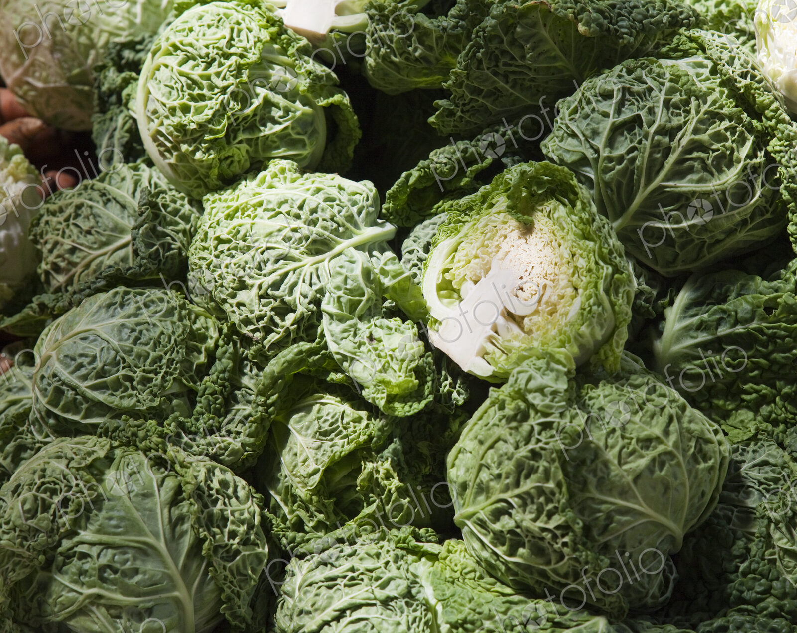 Cabbage