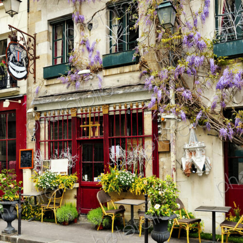Cafe exterior, pavement exterior and flowering wisteria climbing plants, street signs. Cafe exterior, pavement exterior and flowering wisteria climbing plants, street signs.
