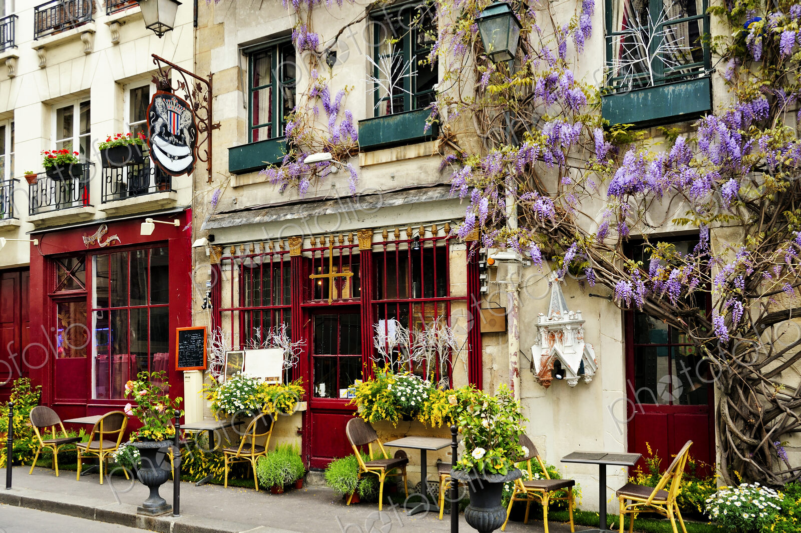 Cafe exterior, pavement exterior and flowering wisteria climbing plants, street signs.