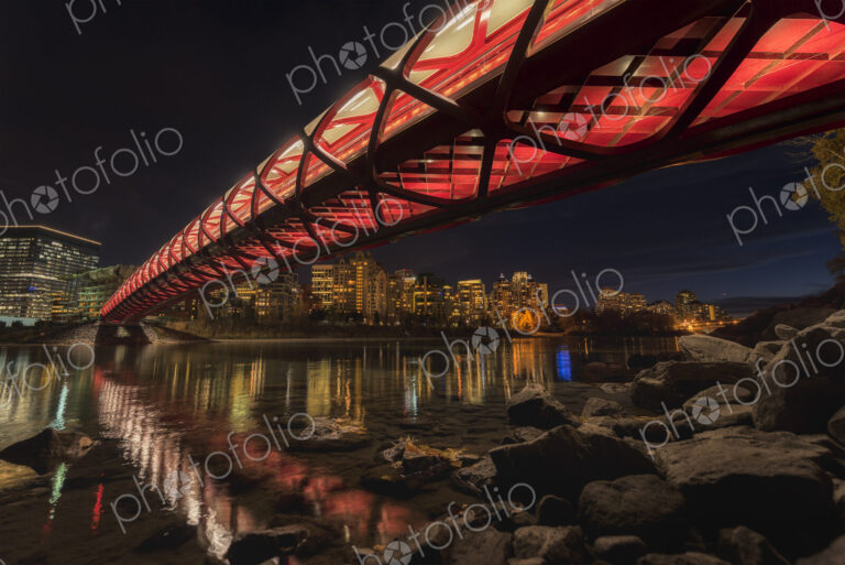 Calgary modern Peace Bridge lit up at night.