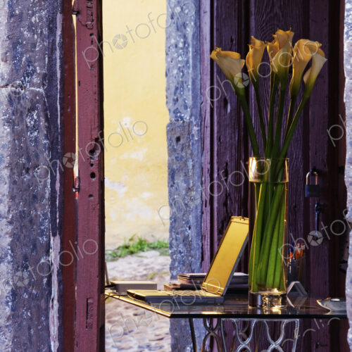 Calla Lilies