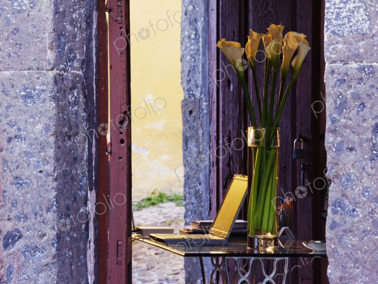 Calla Lilies