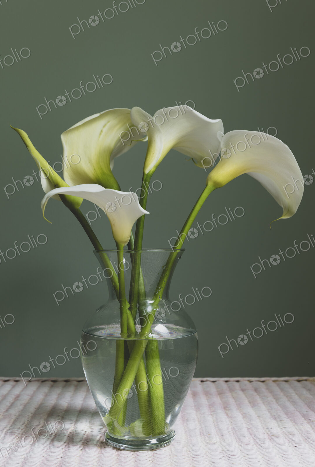 Calla lily still life