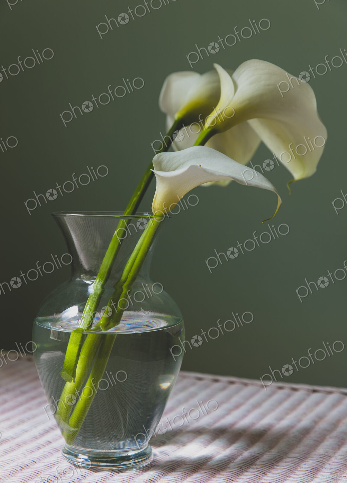 Calla lily still life