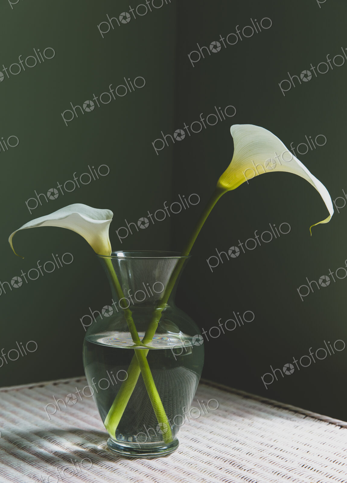 Calla lily still life