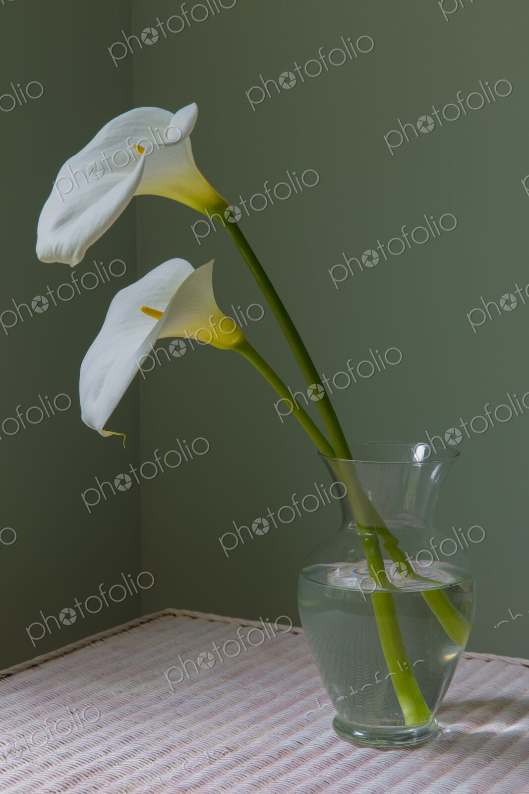 Calla lily still life