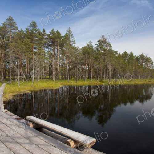 Calm Lake in Viru Bog