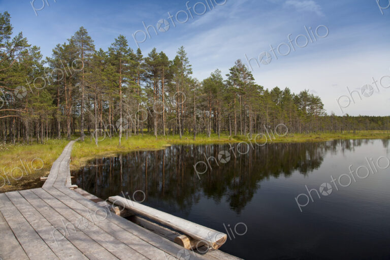 Calm Lake in Viru Bog