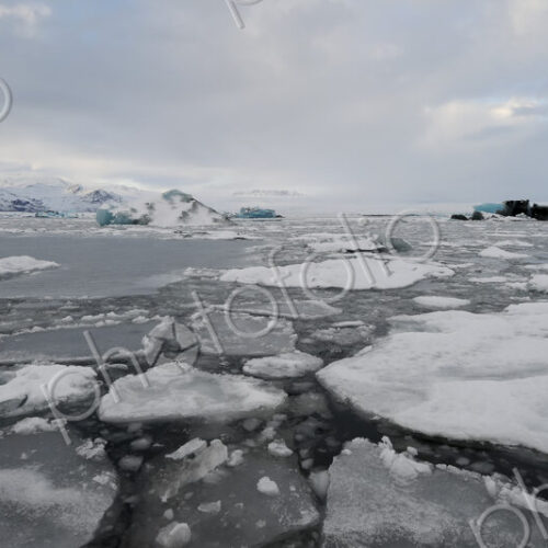 Calved Ice blocks and floes in the Jökulsárlón Glacier Lagoon created by water from…