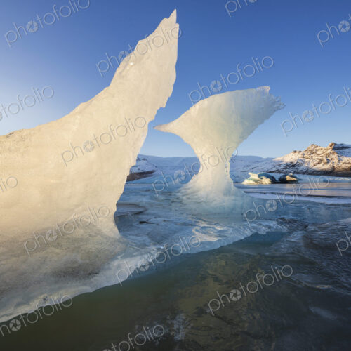 Calved Ice on Jokulsarlon Black Sand Beach, chunks of glacier ice in the lagoon,…