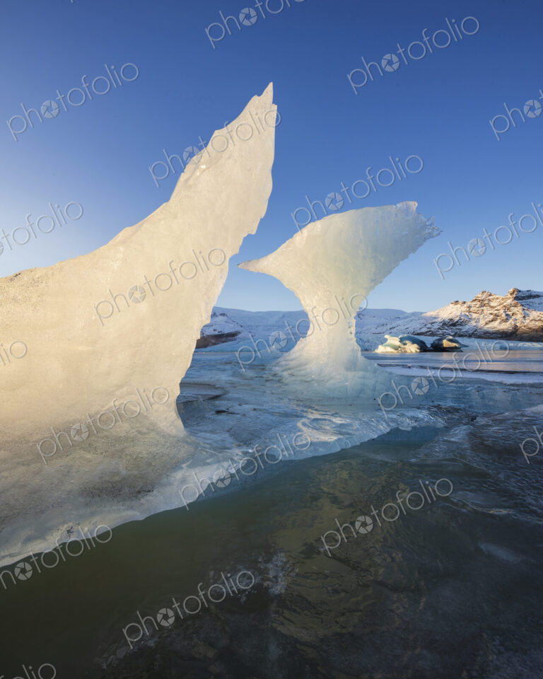Calved Ice on Jokulsarlon Black Sand Beach, chunks of glacier ice in the lagoon,…