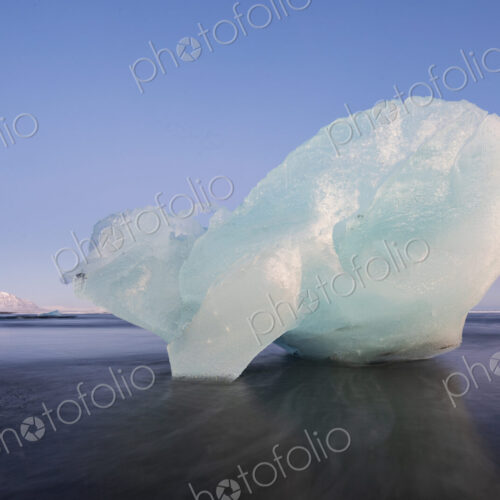 Calved Ice on Jokulsarlon Black Sand Beach, chunks of glacier ice in the lagoon,…