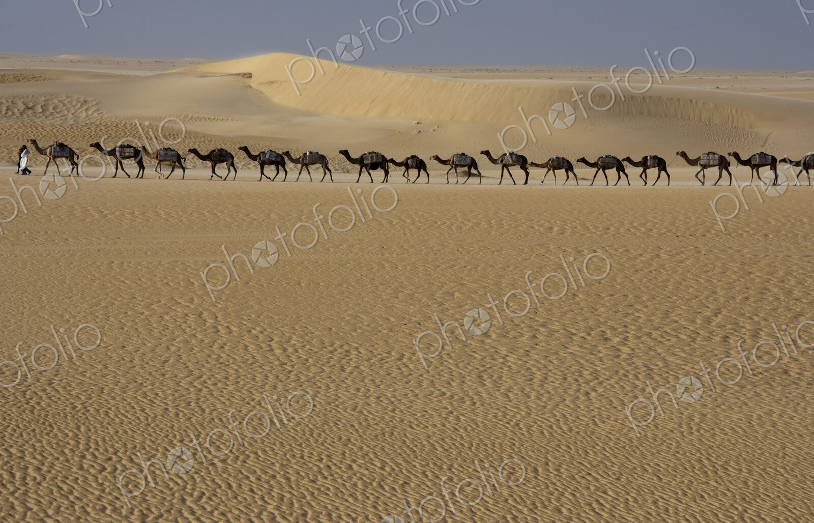 Camel train, Mali