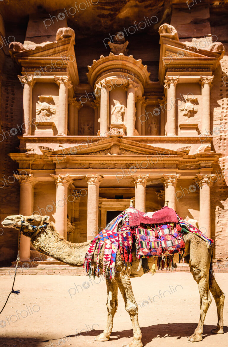 Camel wearing harness by ancient building, Petra, Jordan, jordan