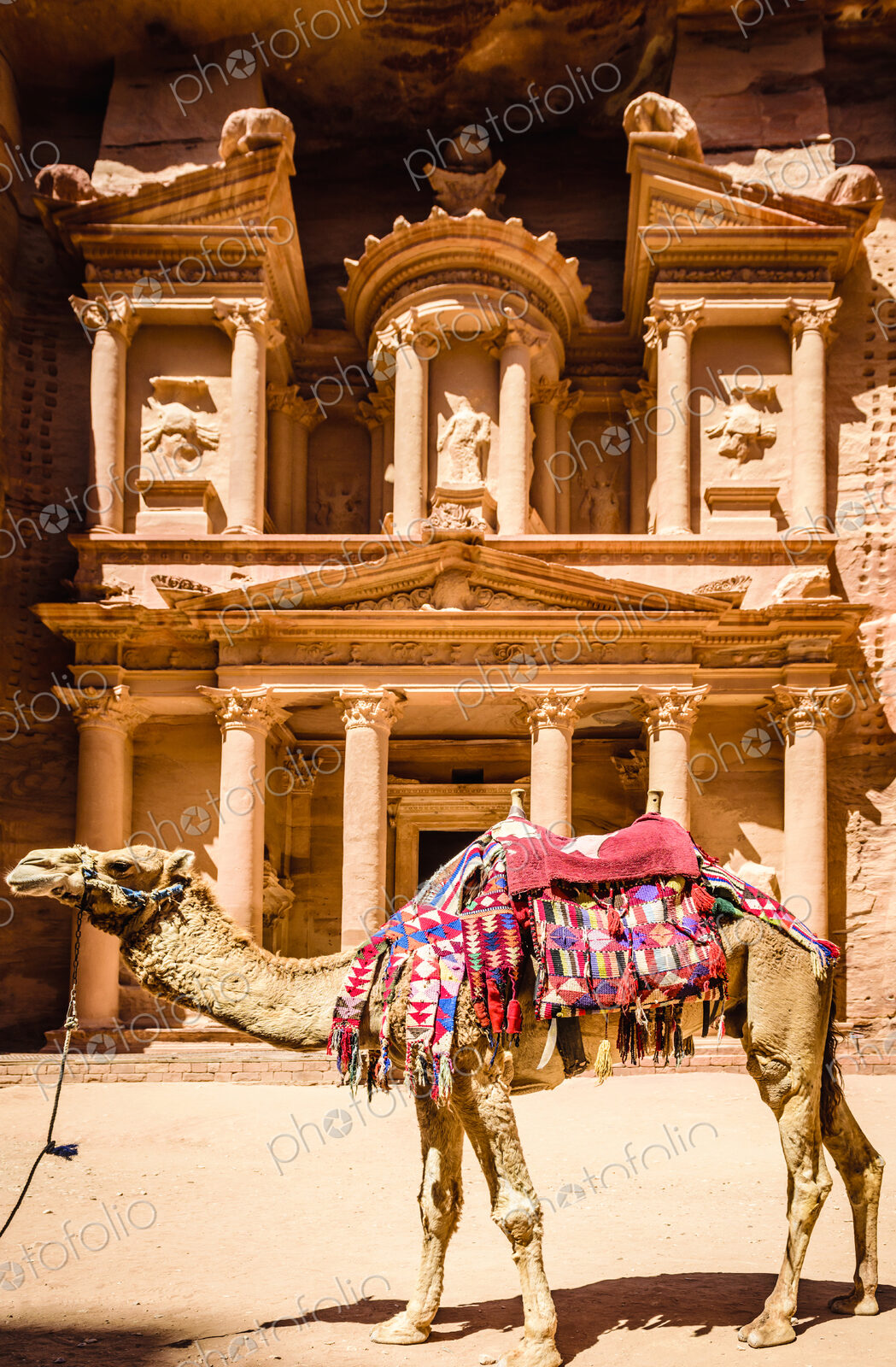 Camel wearing harness by ancient building, Petra, Jordan, jordan