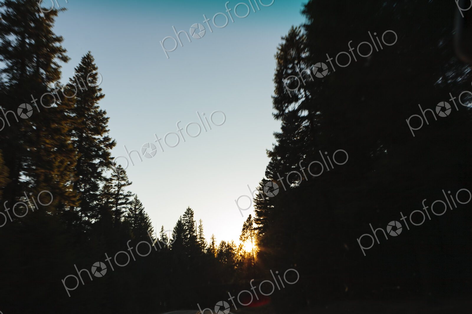 Canon 5d Mark 2, North America, Rob Casey