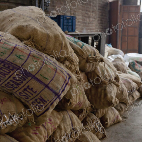 Canvas Bags Holding Foodstuffs Canvas Bags Holding Foodstuffs