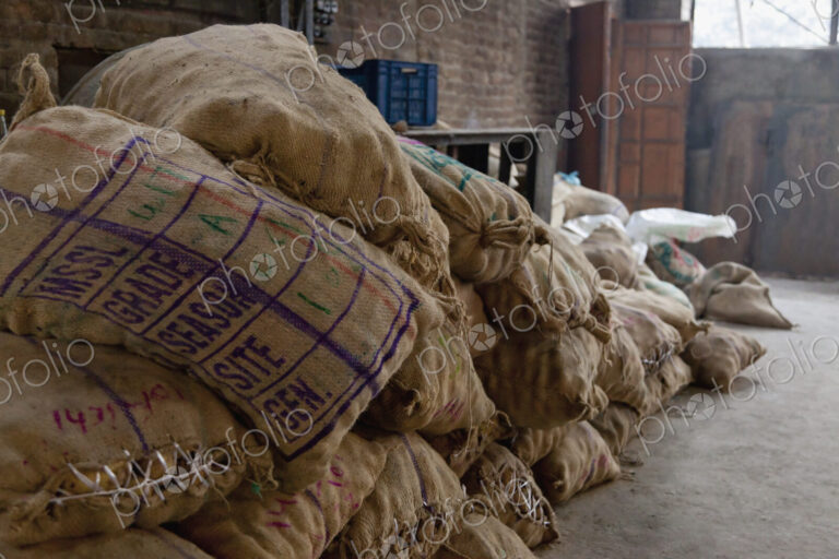 Canvas Bags Holding Foodstuffs