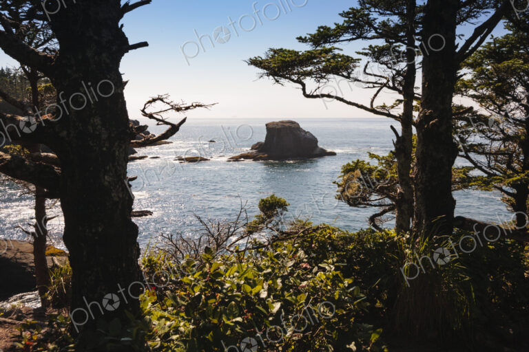 Cape Flattery, Neah Bay, Makah Indian Reservation, view of the coastline and offshore…