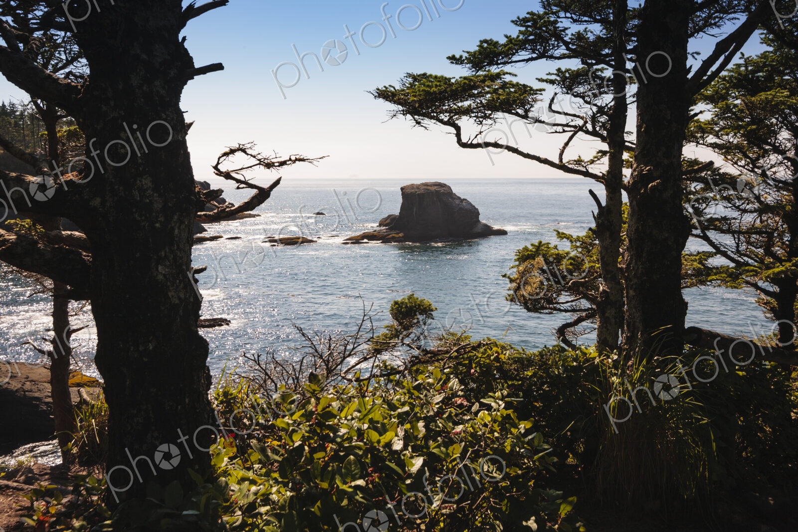 Cape Flattery, Neah Bay, Makah Indian Reservation, view of the coastline and offshore…