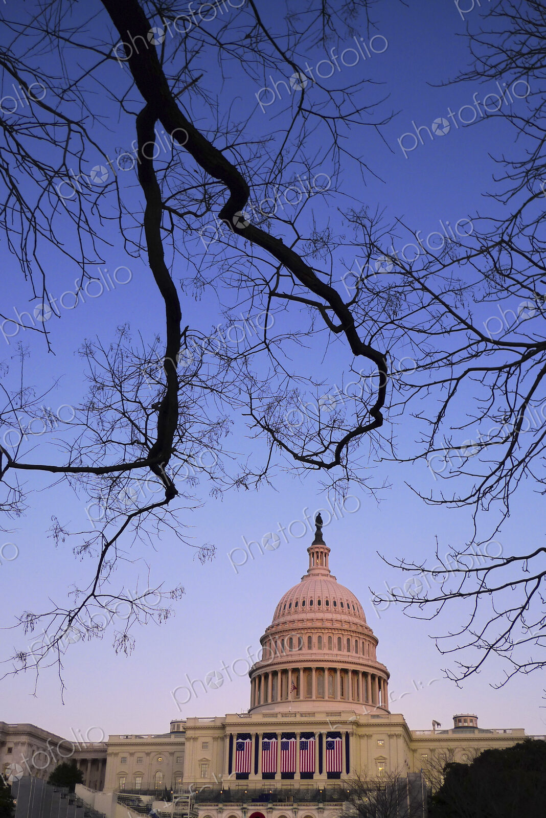 Capitol Building at dawn with tree branch.