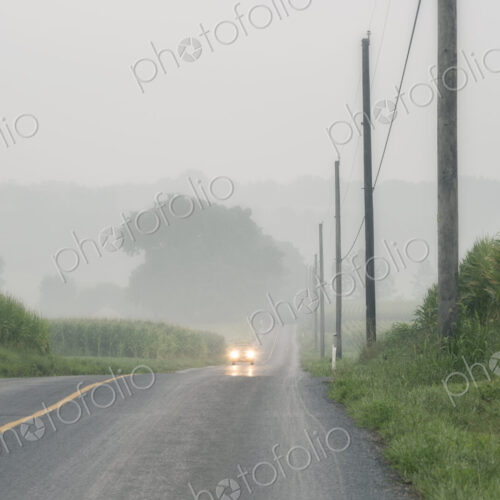 Car approaching on foggy two-lane road Car approaching on foggy two-lane road