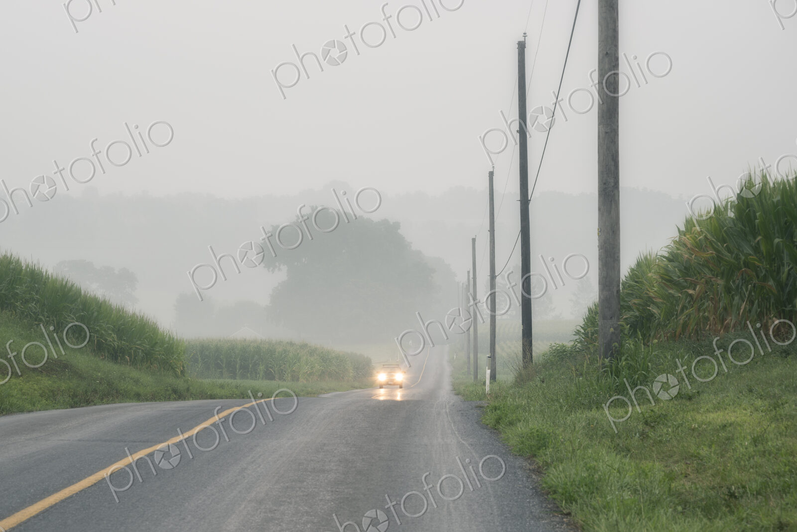 Car approaching on foggy two-lane road