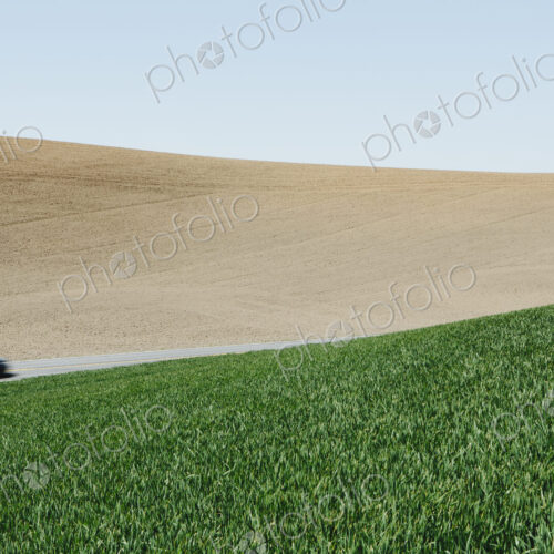 Car driving on road, surrounded by farmland and lush, green field of wheat, near Pullman Car driving on road, surrounded by farmland and lush, green field of wheat, near Pullman
