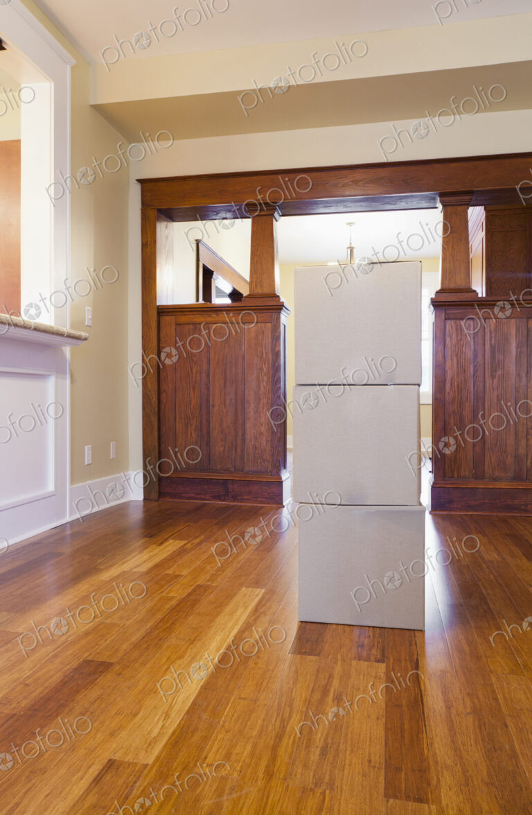 Cardboard boxes in new house
