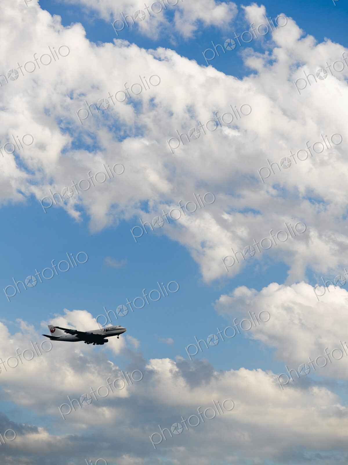 Cargo Jet in Flight