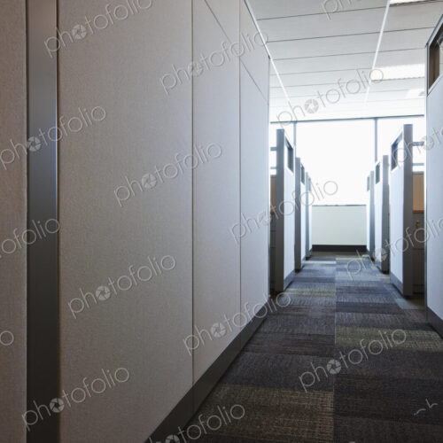 Carpeted Hall with Office Cubicles Carpeted Hall with Office Cubicles