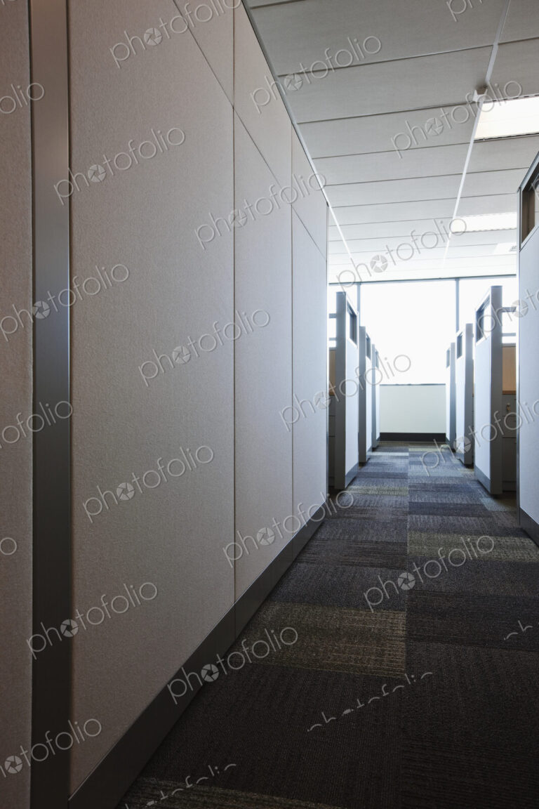 Carpeted Hall with Office Cubicles