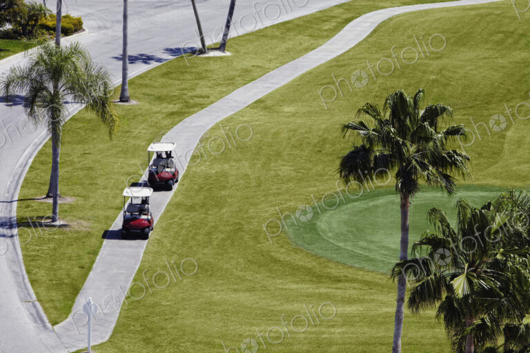 Carts on a Golf Course