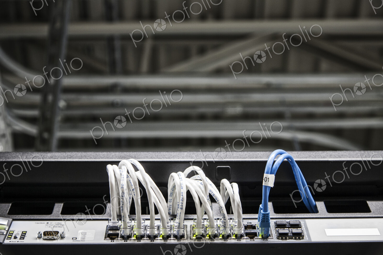 Cat 5 cables hooked to servers in a computer server farm.