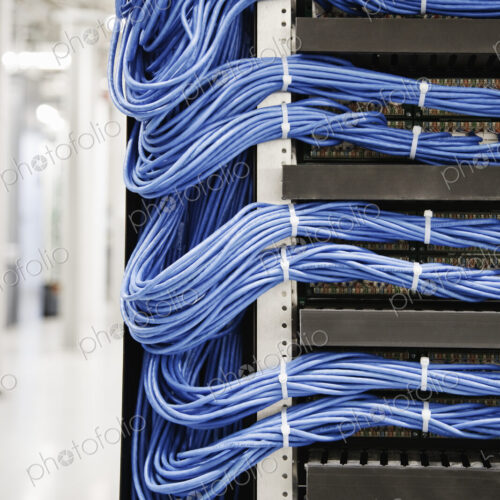 Cat 5 cables hooked to servers in a computer server farm. Cat 5 cables hooked to servers in a computer server farm.