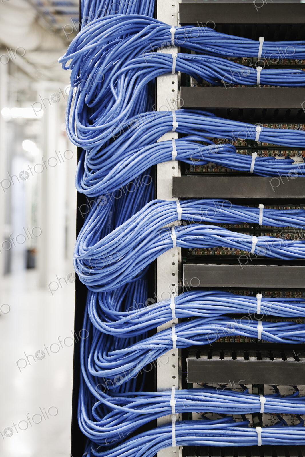 Cat 5 cables hooked to servers in a computer server farm.