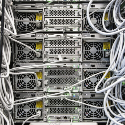 Cat 5 cables hooked to servers in a computer server farm. Cat 5 cables hooked to servers in a computer server farm.